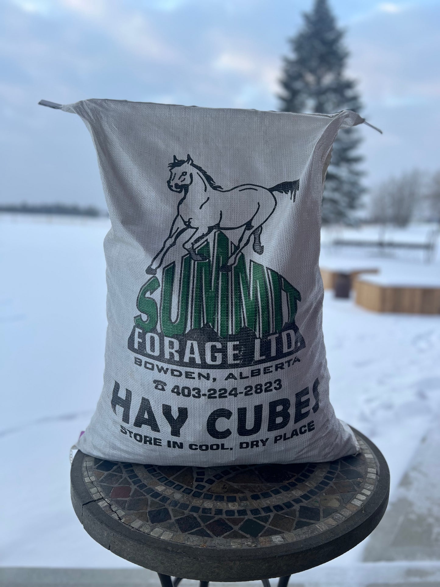 Summit Forage Timothy/Orchard Grass Cubes