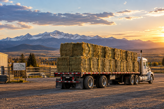 Hay & Feed Store Near Cochrane and Calgary