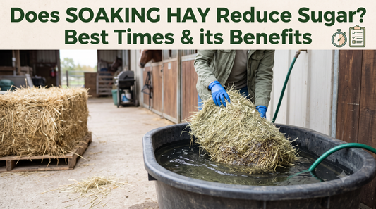 Does Soaking Hay Reduce Sugar