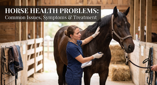 Horse Health Problems