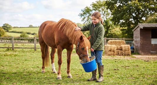Pony Care Guide