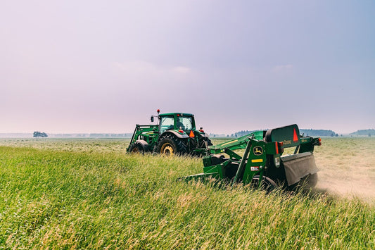 export hay