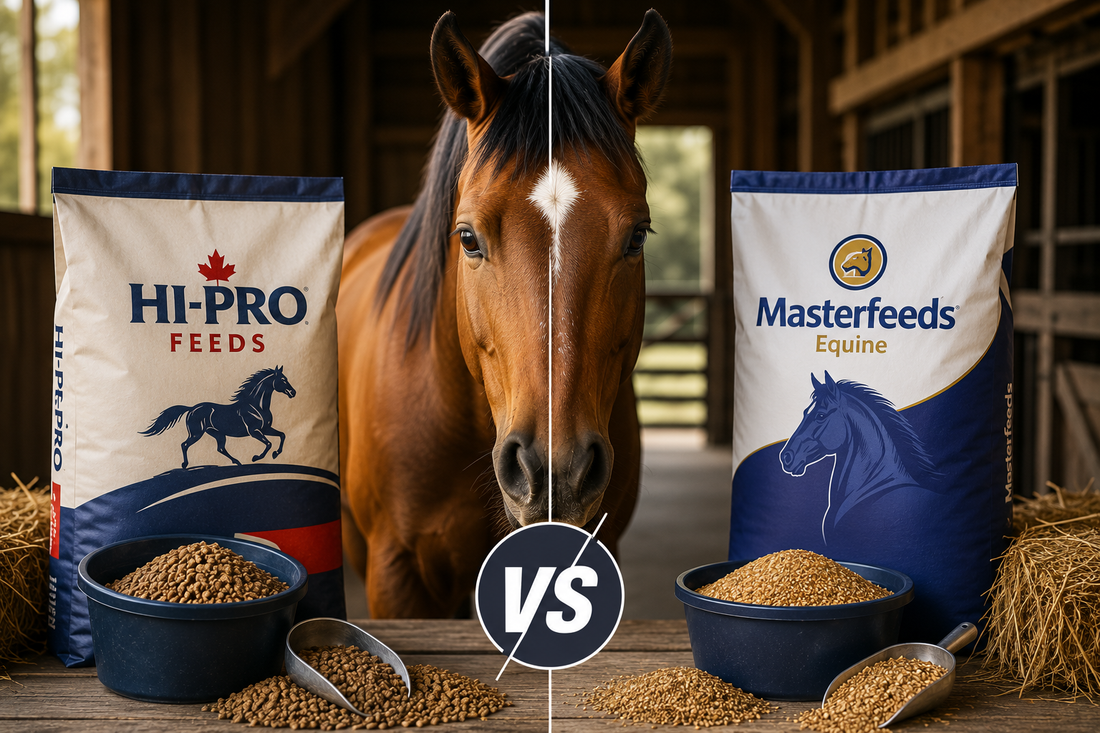hi-pro horse feed vs masterfeed horse feed