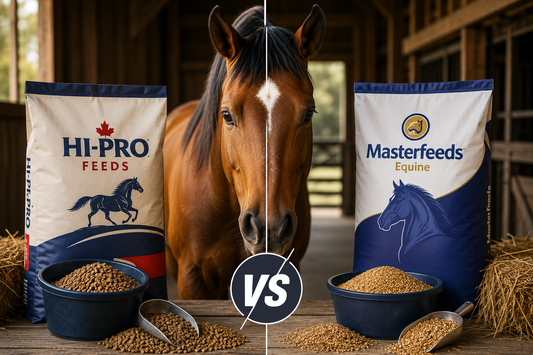hi-pro horse feed vs masterfeed horse feed
