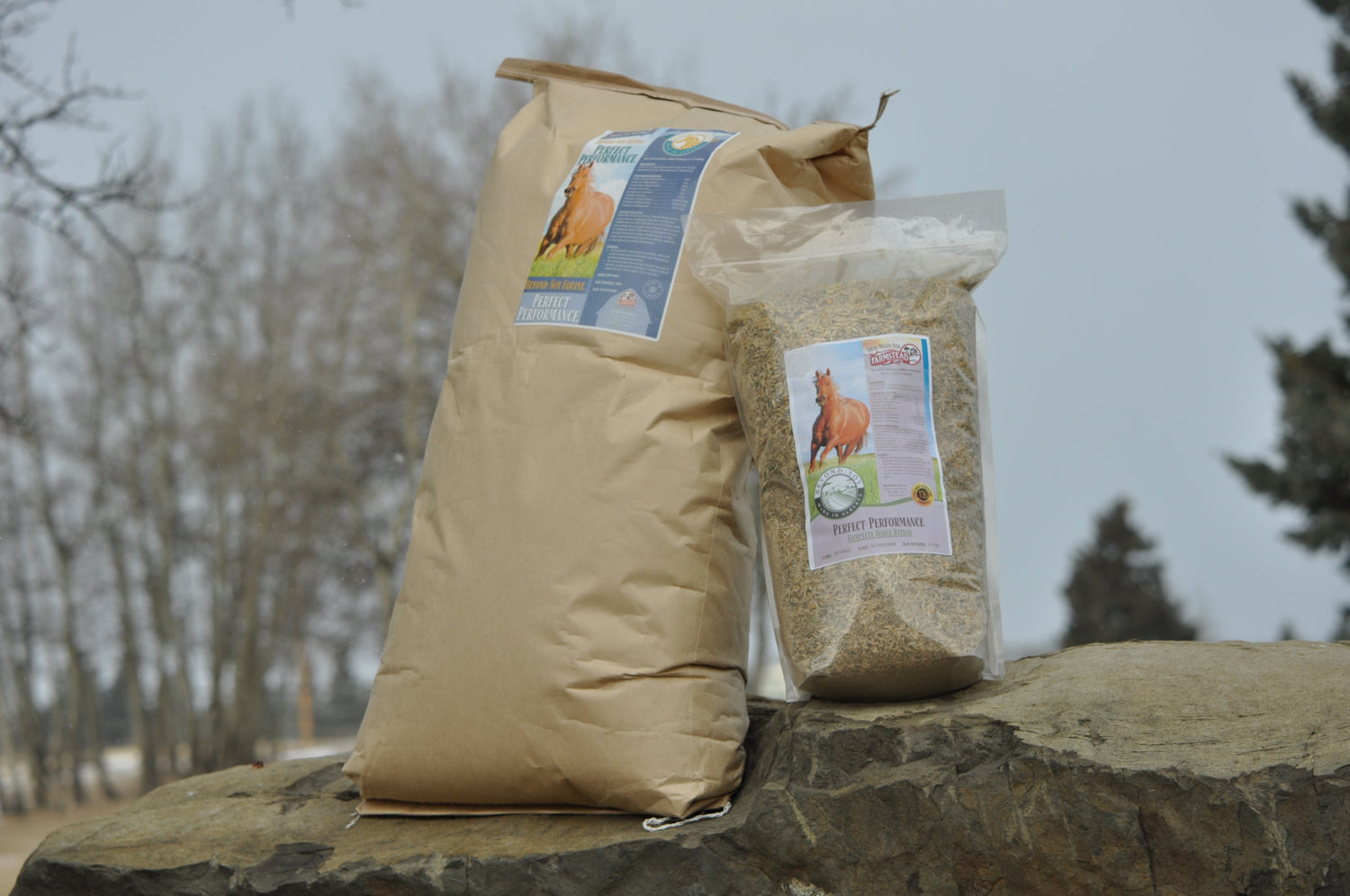 Equine Feed & Supplements