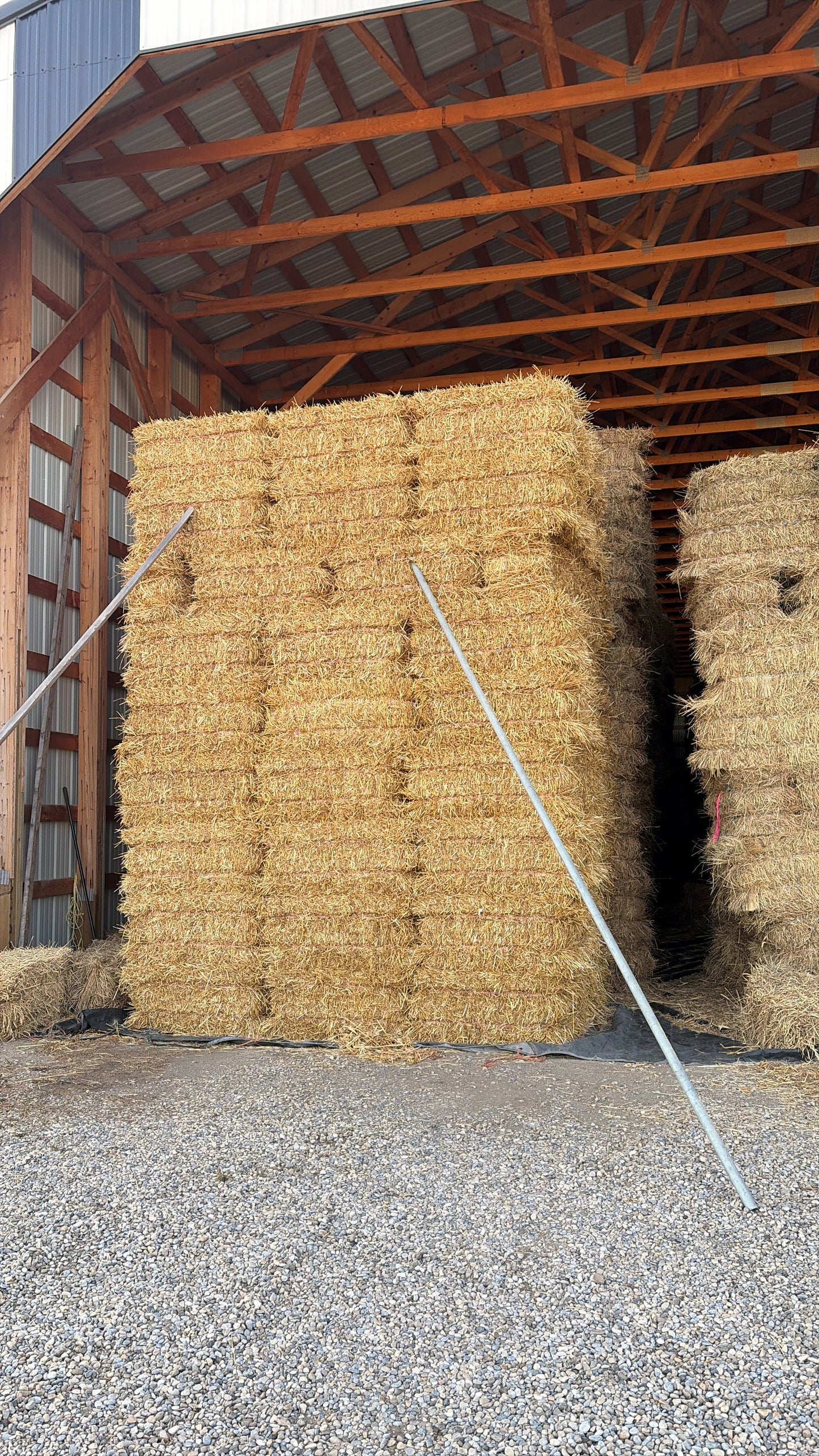 Straw Square Bales