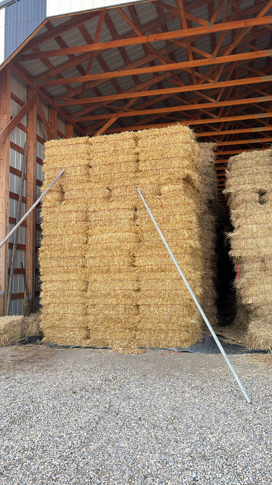 Straw Square Bales