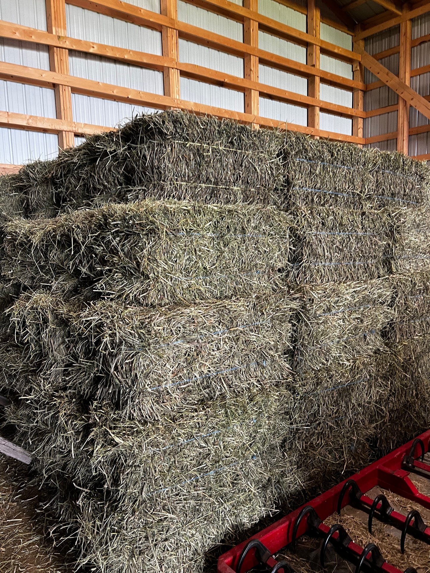 2025 First Cut Timothy Square Bales