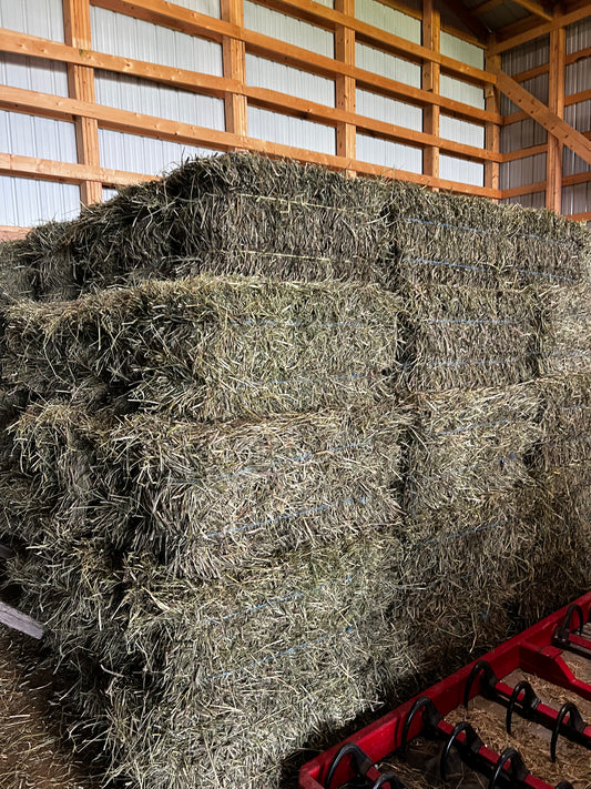 2025 First Cut Timothy Square Bales