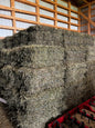 2025 First Cut Timothy Square Bales