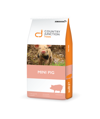 Country Junction mini pig maintenance diet