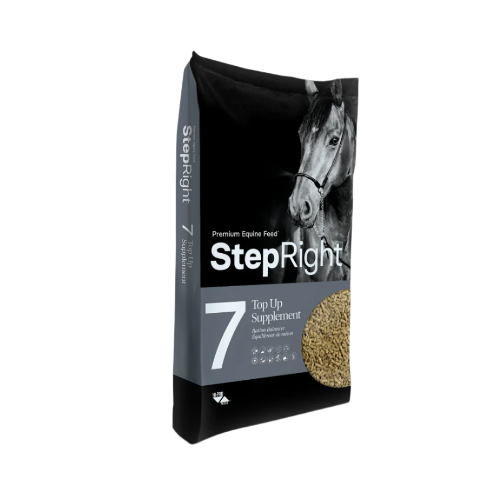 Step Right Step 7 Supplement