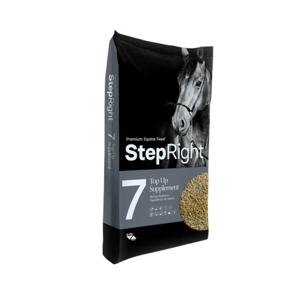 Step Right Step 7 Supplement