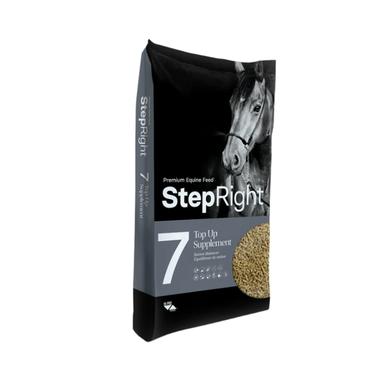 Step Right Step 7 Supplement